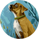 Profilbild von „yusuf sahinos“