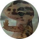 Profilbild von „Baris Bruh“